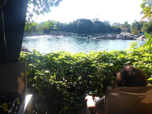 P1010602 (02-15-2015 16:03)