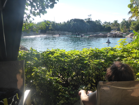 P1010603 (02-15-2015 16:03)