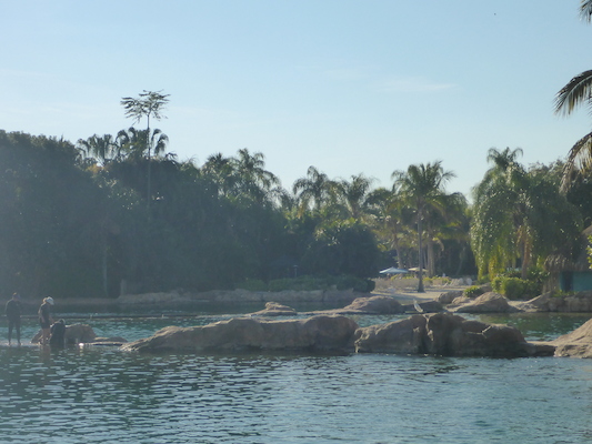 P1010605 (02-15-2015 16:04)