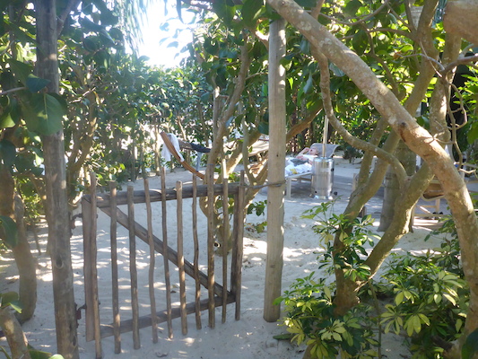 P1010610 (02-15-2015 16:08)