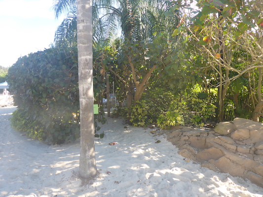 P1010611 (02-15-2015 16:09)