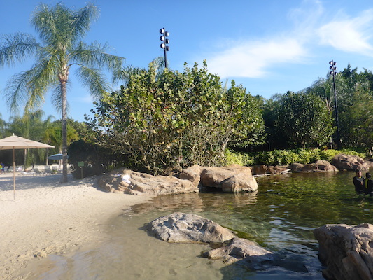 P1010613 (02-15-2015 16:17)