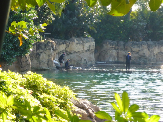 P1010614 (02-15-2015 16:32)