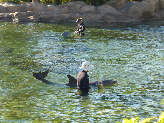 P1010615 (02-15-2015 16:36)