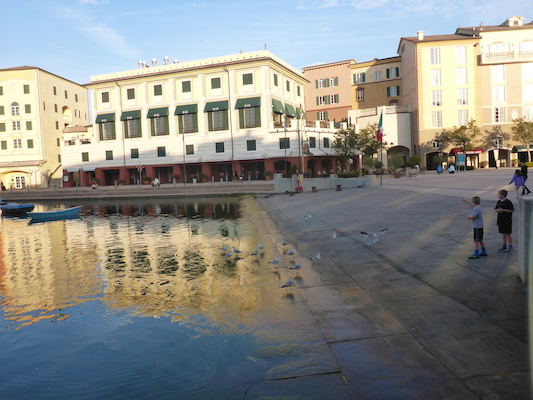 P1010617 (02-16-2015 07:57)