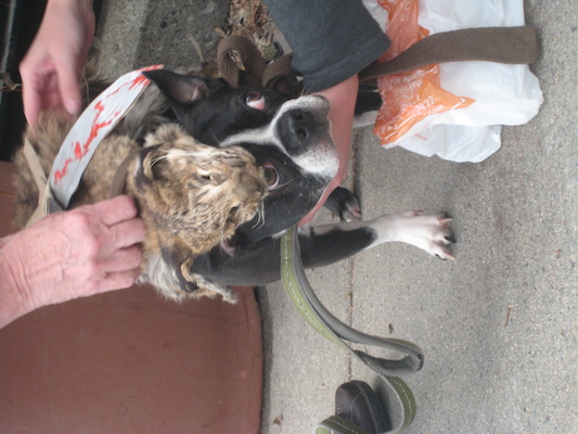 IMG_0228 (03-15-2014 14:56)