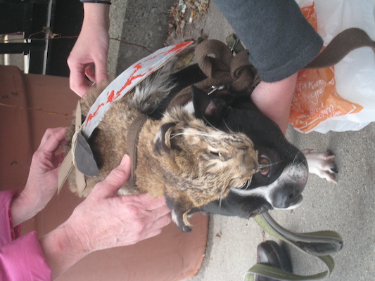 IMG_0229 (03-15-2014 14:56)