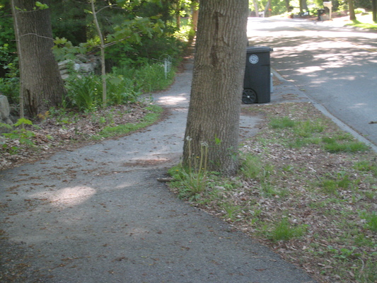 IMG_0230 (05-19-2014 08:17)