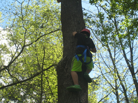 IMG_0243 (05-21-2014 11:14)