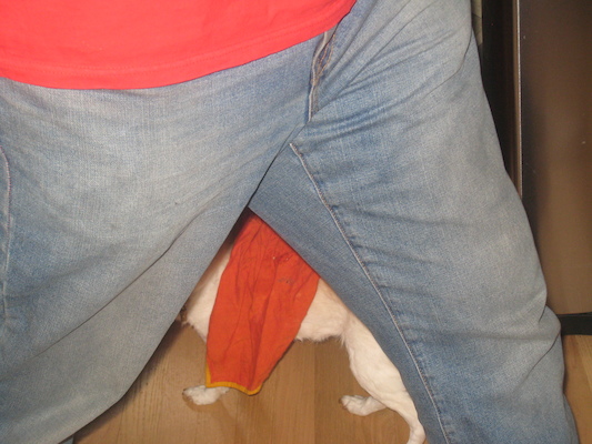 IMG_0245 (05-23-2014 16:54)