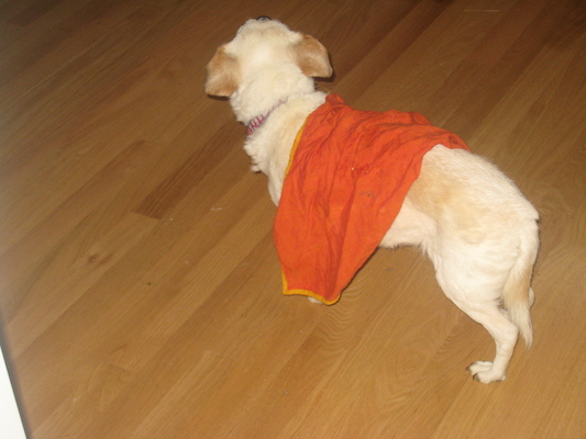 IMG_0246 (05-23-2014 16:55)