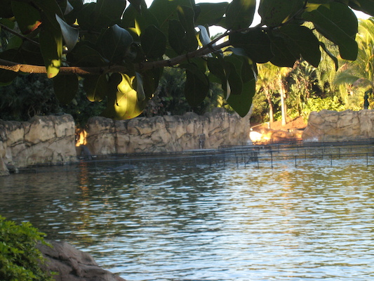 IMG_0277 (02-15-2015 09:00)