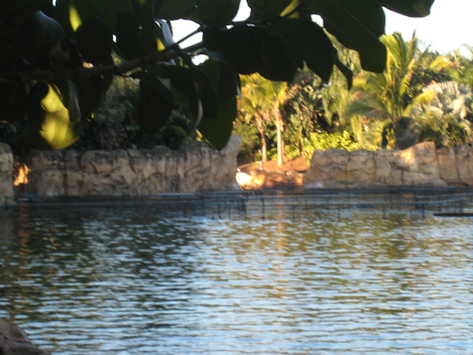 IMG_0278 (02-15-2015 09:00)