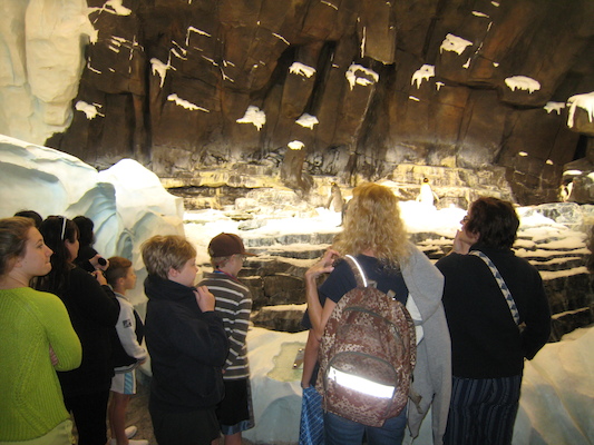 IMG_0280 (02-16-2015 10:31)