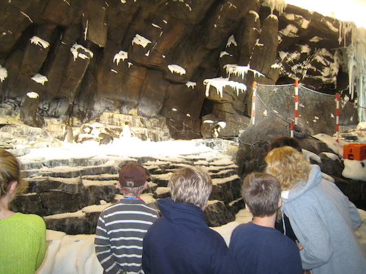 IMG_0281 (02-16-2015 10:31)