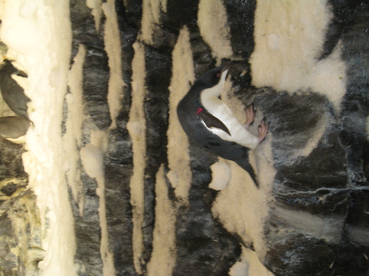 IMG_0282 (02-16-2015 10:31)