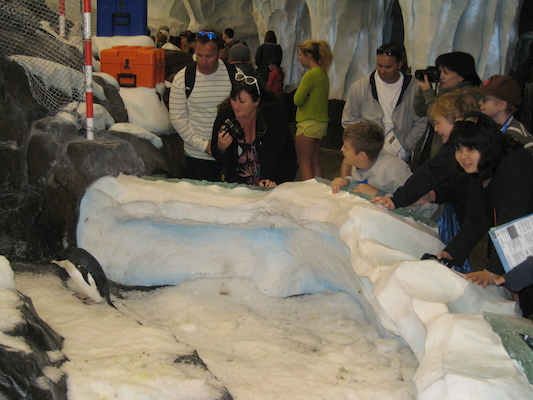 IMG_0284 (02-16-2015 10:32)