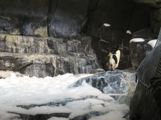 IMG_0285 (02-16-2015 10:32)