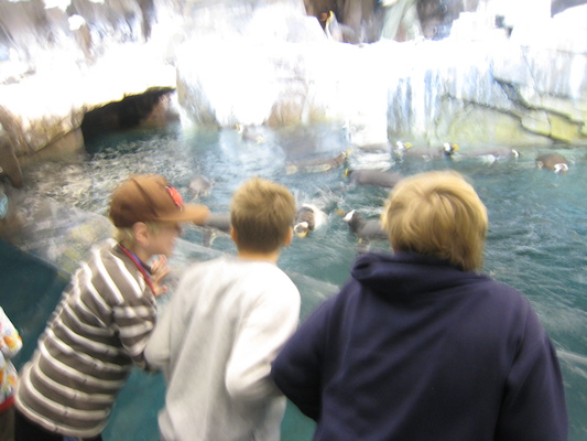 IMG_0292 (02-16-2015 10:35)