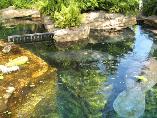 IMG_0296 (02-16-2015 11:52)