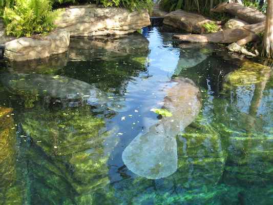 IMG_0297 (02-16-2015 11:52)