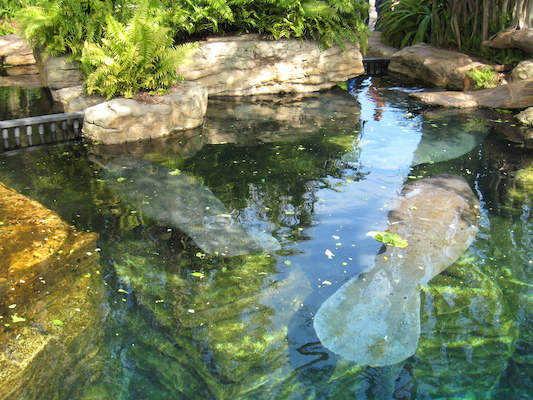 IMG_0298 (02-16-2015 11:52)