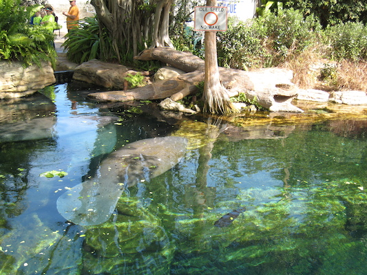 IMG_0299 (02-16-2015 11:53)