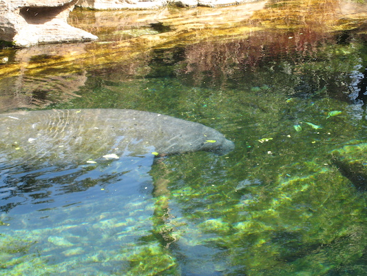 IMG_0301 (02-16-2015 11:53)