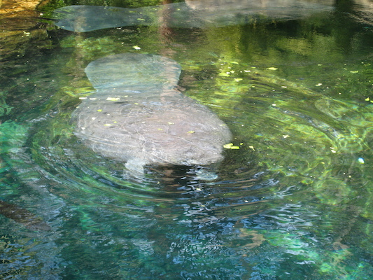 IMG_0302 (02-16-2015 11:55)