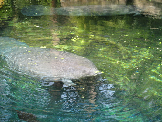 IMG_0303 (02-16-2015 11:55)