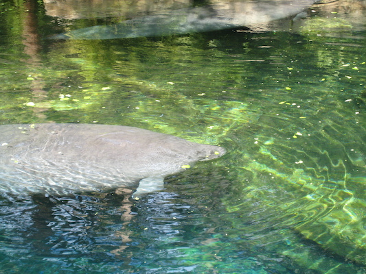 IMG_0304 (02-16-2015 11:55)