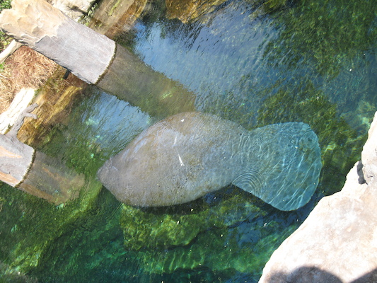 IMG_0307 (02-16-2015 11:58)