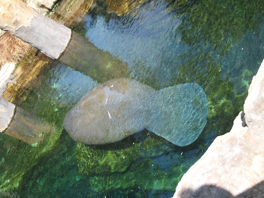 IMG_0308 (02-16-2015 11:58)