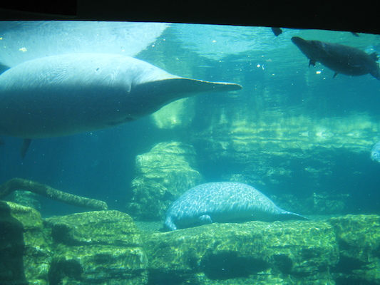 IMG_0311 (02-16-2015 12:10)