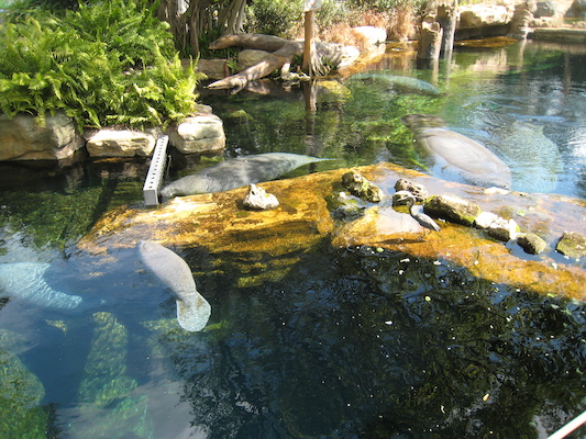 IMG_0314 (02-16-2015 12:30)