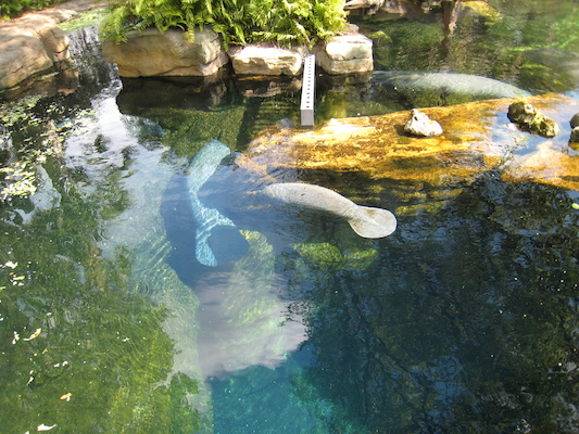 IMG_0317 (02-16-2015 12:30)