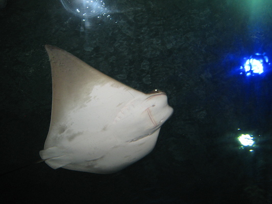 IMG_0320 (02-16-2015 13:24)