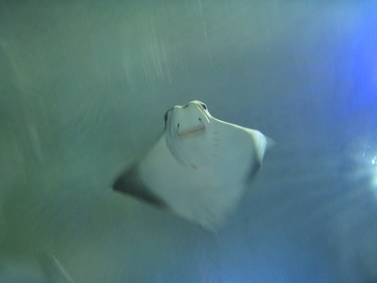 IMG_0321 (02-16-2015 13:24)