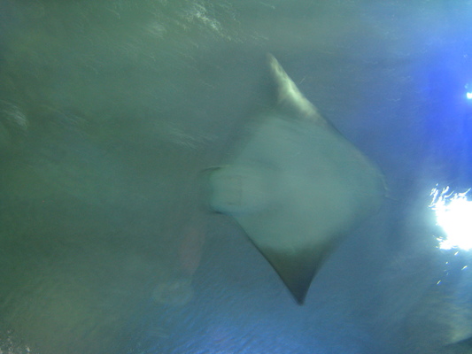 IMG_0322 (02-16-2015 13:24)