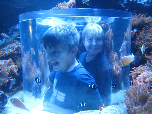 IMG_0325 (02-16-2015 13:31)