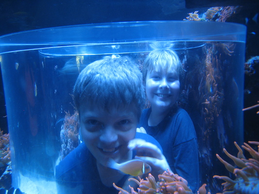 IMG_0326 (02-16-2015 13:31)