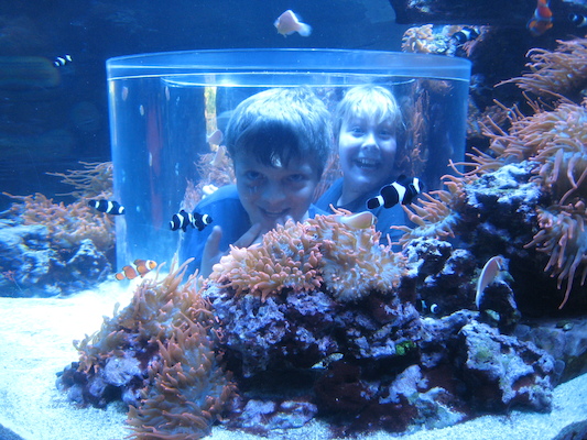 IMG_0327 (02-16-2015 13:31)