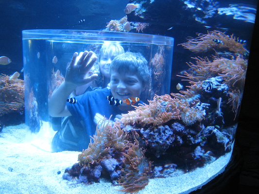 IMG_0328 (02-16-2015 13:31)