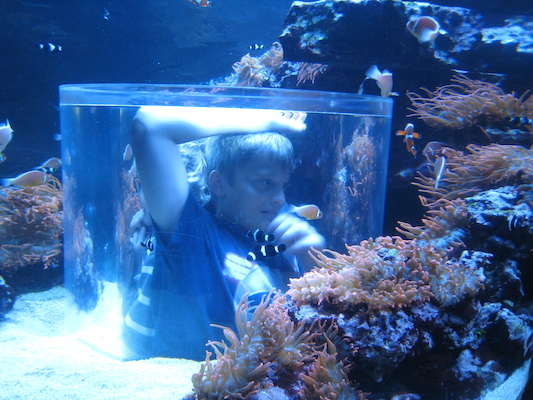 IMG_0329 (02-16-2015 13:31)