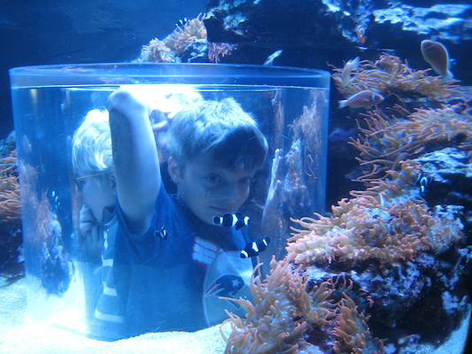 IMG_0330 (02-16-2015 13:31)