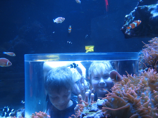 IMG_0331 (02-16-2015 13:31)