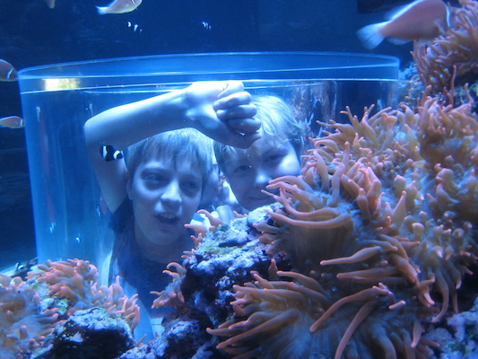 IMG_0332 (02-16-2015 13:31)