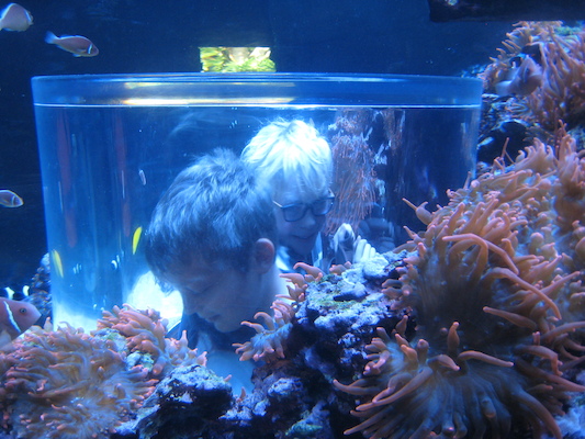 IMG_0333 (02-16-2015 13:31)