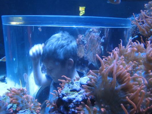 IMG_0334 (02-16-2015 13:31)