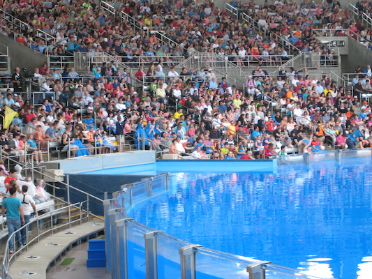 IMG_0347 (02-16-2015 14:58)